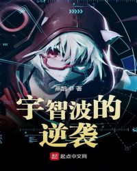 宇智波的一己之见小说